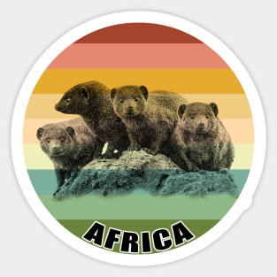 Dwarf Mongoose Group on Vintage Retro Africa Sunset Sticker